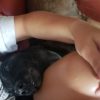Images de profil de Océane - Blooming Pets - Petsitting et garde d'animaux à domicile