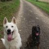 Images de profil de Océane - Blooming Pets - Petsitting et garde d'animaux à domicile