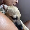 Images de profil de Maureen - Blooming Pets - Petsitting et garde d'animaux à domicile