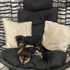 Images de profil de Maureen - Blooming Pets - Petsitting et garde d'animaux à domicile