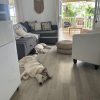 Images de profil de Maureen - Blooming Pets - Petsitting et garde d'animaux à domicile