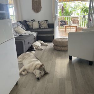 Images de profil de Maureen - Blooming Pets - Petsitting et garde d'animaux Ă domicile
