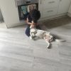 Images de profil de Maureen - Blooming Pets - Petsitting et garde d'animaux à domicile