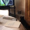 Images de profil de Marie - Blooming Pets - Petsitting et garde d'animaux à domicile