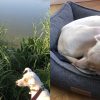 Images de profil de Marie - Blooming Pets - Petsitting et garde d'animaux à domicile
