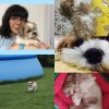 Images de profil de Marie - Blooming Pets - Petsitting et garde d'animaux à domicile