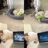 Images de profil de Marie - Blooming Pets - Petsitting et garde d'animaux à domicile