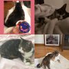 Images de profil de Marie - Blooming Pets - Petsitting et garde d'animaux à domicile