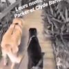Images de profil de Karine - Blooming Pets - Petsitting et garde d'animaux à domicile