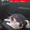 Images de profil de Karine - Blooming Pets - Petsitting et garde d'animaux à domicile