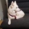 Images de profil de Manon - Blooming Pets - Petsitting et garde d'animaux à domicile