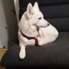 Images de profil de Manon - Blooming Pets - Petsitting et garde d'animaux Ă domicile