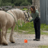 Images de profil de Anaïs - Blooming Pets - Petsitting et garde d'animaux à domicile