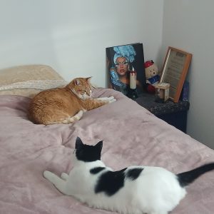 Images de profil de Amandine - Blooming Pets - Petsitting et garde d'animaux Ă domicile