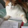 Images de profil de Delphine - Blooming Pets - Petsitting et garde d'animaux à domicile