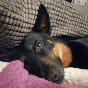 Images de profil de Laura - Blooming Pets - Petsitting et garde d'animaux à domicile