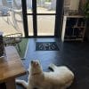 Images de profil de Glenn - Blooming Pets - Petsitting et garde d'animaux à domicile