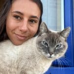 Ichou   Siamois Mâle - Garde d'animaux à domicile