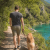 Images de profil de Nicolas - Blooming Pets - Petsitting et garde d'animaux à domicile