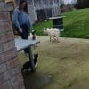 Images de profil de Elena - Blooming Pets - Petsitting et garde d'animaux à domicile