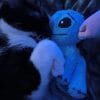 Images de profil de Elena - Blooming Pets - Petsitting et garde d'animaux à domicile