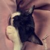 Images de profil de Elena - Blooming Pets - Petsitting et garde d'animaux à domicile
