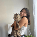 Livy   European Shorthair (Européen) Femelle stérilisée - Garde d'animaux à domicile
