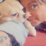 Zoé   Chihuahua Femelle - Garde d'animaux à domicile