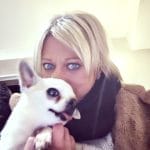 Eliot   Chihuahua Mâle stérilisé - Garde d'animaux à domicile