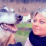 Tara   Berger Belge Malinois Femelle - Garde d'animaux à domicile
