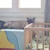 Images de profil de Angie - Blooming Pets - Petsitting et garde d'animaux à domicile
