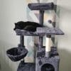 Images de profil de Angie - Blooming Pets - Petsitting et garde d'animaux à domicile