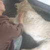 Images de profil de Angie - Blooming Pets - Petsitting et garde d'animaux à domicile