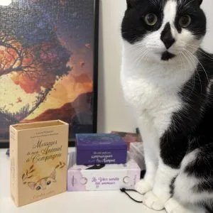 Lulu