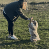 Images de profil de Clara - Blooming Pets - Petsitting et garde d'animaux à domicile