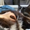 Images de profil de Sarah - Blooming Pets - Petsitting et garde d'animaux à domicile