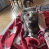 Images de profil de Florence - Blooming Pets - Petsitting et garde d'animaux à domicile