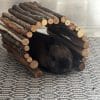 Images de profil de Lylyrose - Blooming Pets - Petsitting et garde d'animaux à domicile