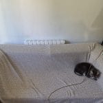 Simba   European Shorthair (Européen) Mâle stérilisé - Garde d'animaux à domicile