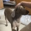 Images de profil de Cassandra - Blooming Pets - Petsitting et garde d'animaux à domicile