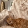 Images de profil de Lou - Blooming Pets - Petsitting et garde d'animaux à domicile