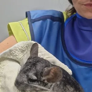 Image de profil de anaïse - Blooming Pets - Petsitting et garde d'animaux à domicile