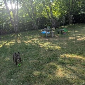 Images de profil de Zahra - Blooming Pets - Petsitting et garde d'animaux Ă domicile