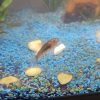 Images de profil de Kévin - Blooming Pets - Petsitting et garde d'animaux à domicile