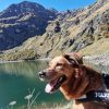 Images de profil de Alexia - Blooming Pets - Petsitting et garde d'animaux à domicile