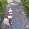 Images de profil de Clotilde - Blooming Pets - Petsitting et garde d'animaux à domicile