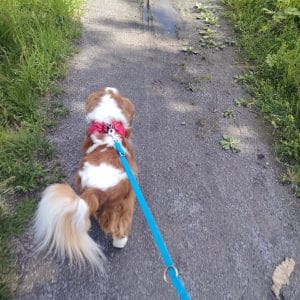 Images de profil de Clotilde - Blooming Pets - Petsitting et garde d'animaux à domicile