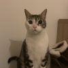 Images de profil de Ana - Blooming Pets - Petsitting et garde d'animaux à domicile