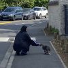 Images de profil de Ana - Blooming Pets - Petsitting et garde d'animaux à domicile