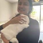 Bloom   Bélier nain Femelle stérilisée - Garde d'animaux à domicile